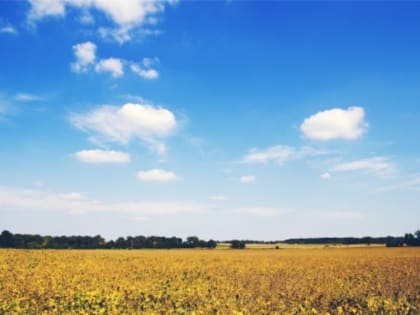 В Башкирии создают производство мощных тракторов