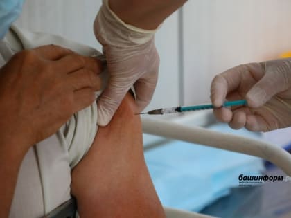 Новые инициативы по улучшению городской инфраструктуры