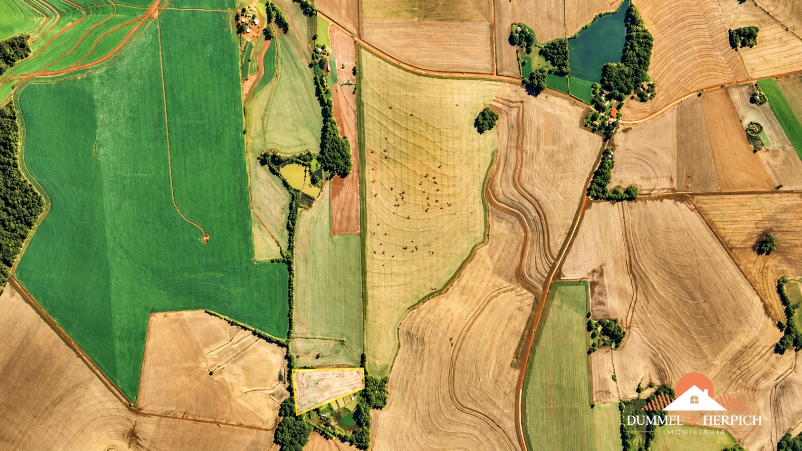 rural em Zona Rural, Independência, RS - 🔖 À VENDA | ÁREA RURAL COM 3 HECTARES E ÁGUA ABUNDANTE EM INDEPENDÊNCIA