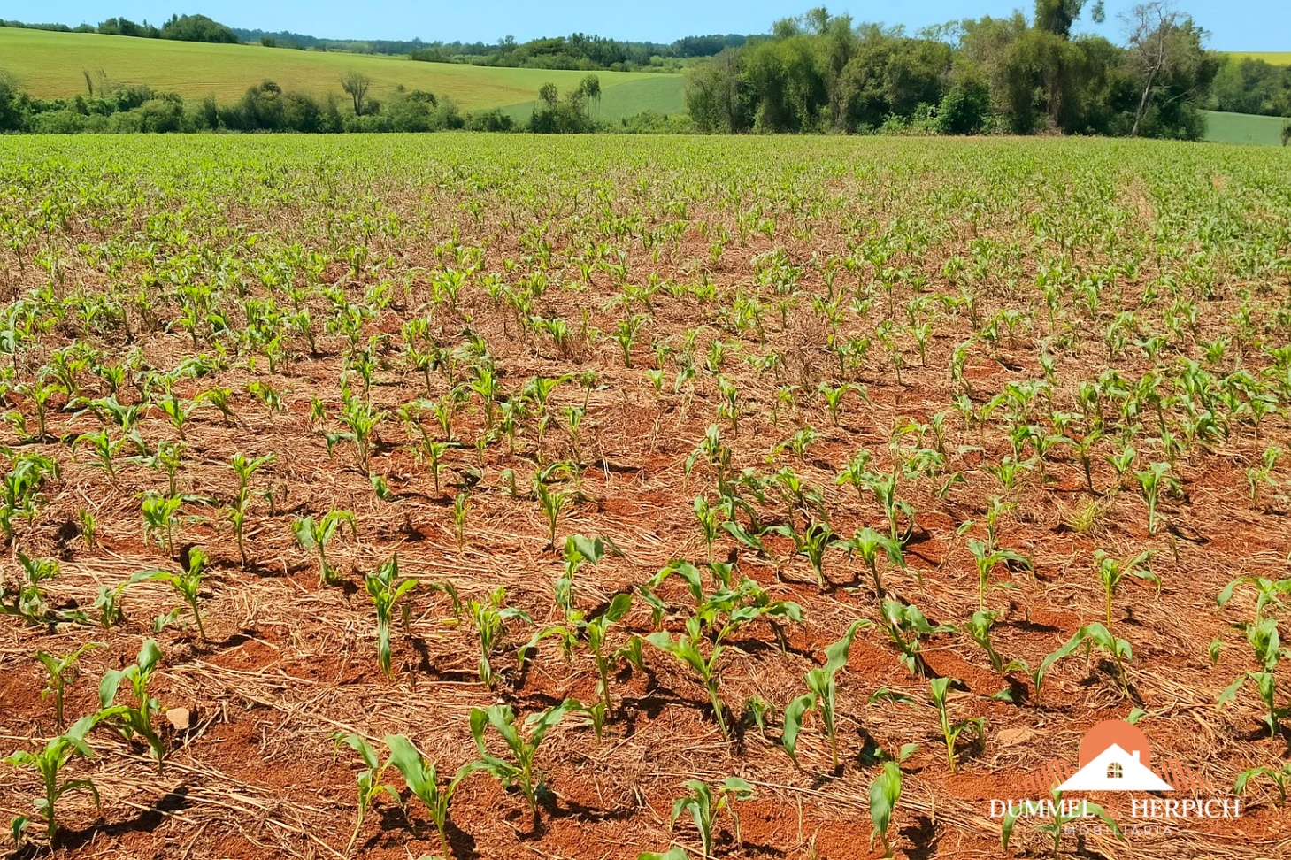 rural em Zona Rural, Três de Maio, RS - 🔖 À VENDA | FRAÇÃO DE 12 HECTARES NO INTERIOR DE TRÊS DE MAIO