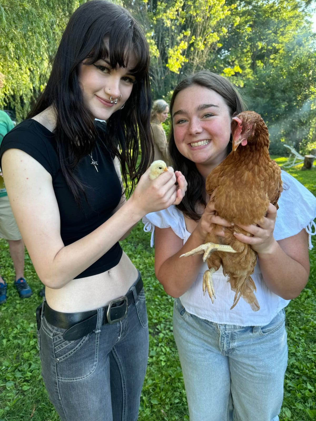 Friends on the farm