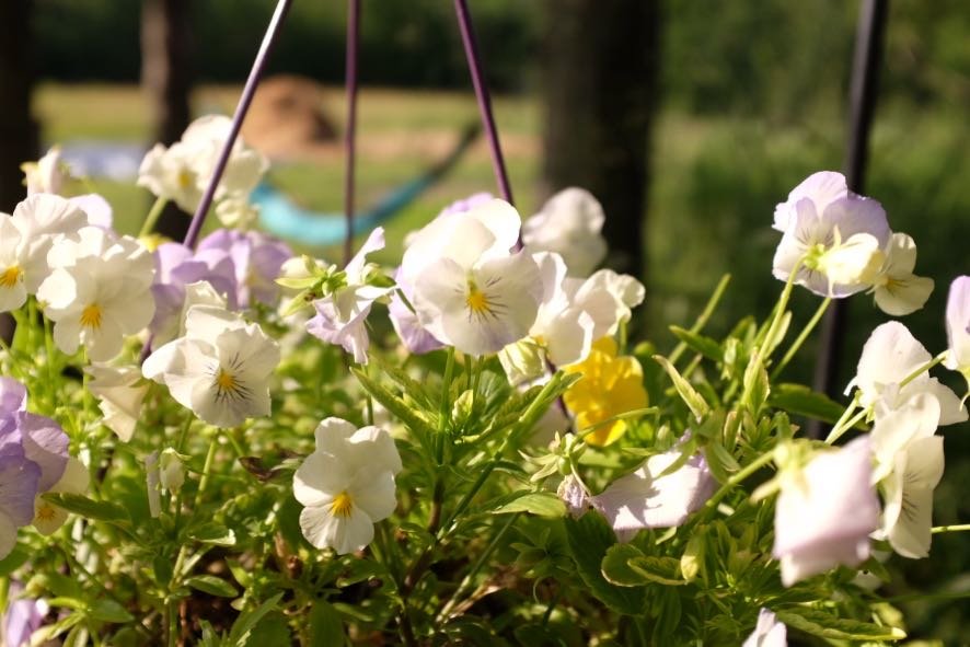 Autumn Equinox Retreat: Release, Receive, Remember