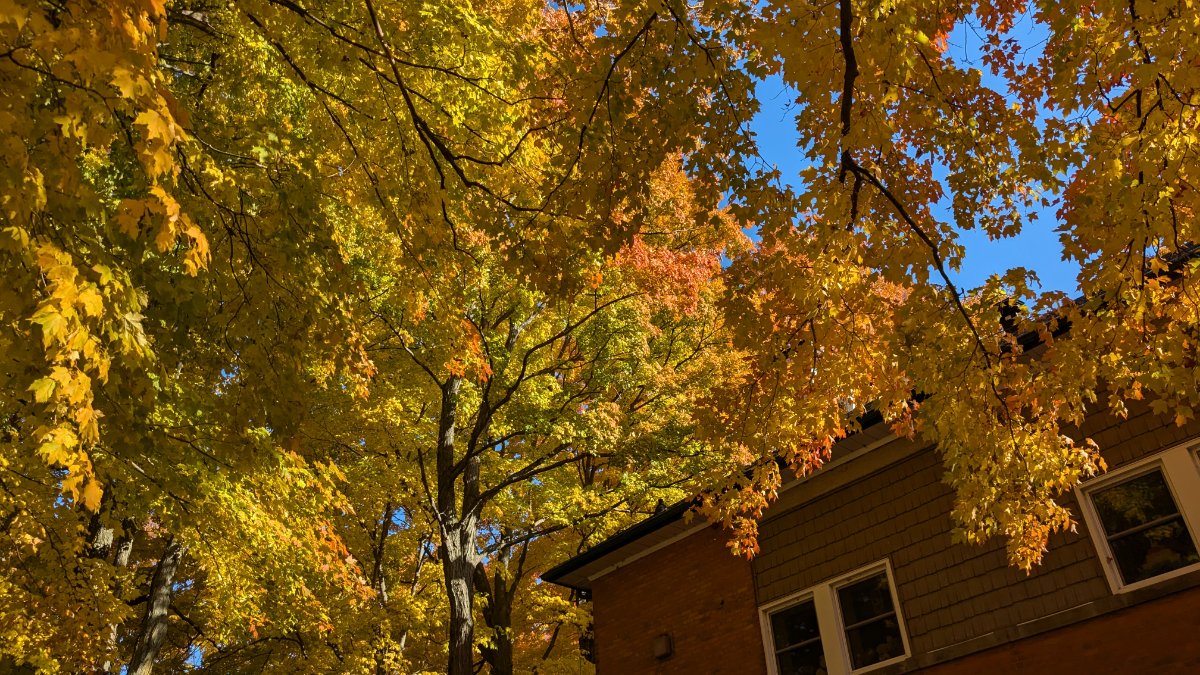 Autumn Equinox Retreat: Release, Receive, Remember