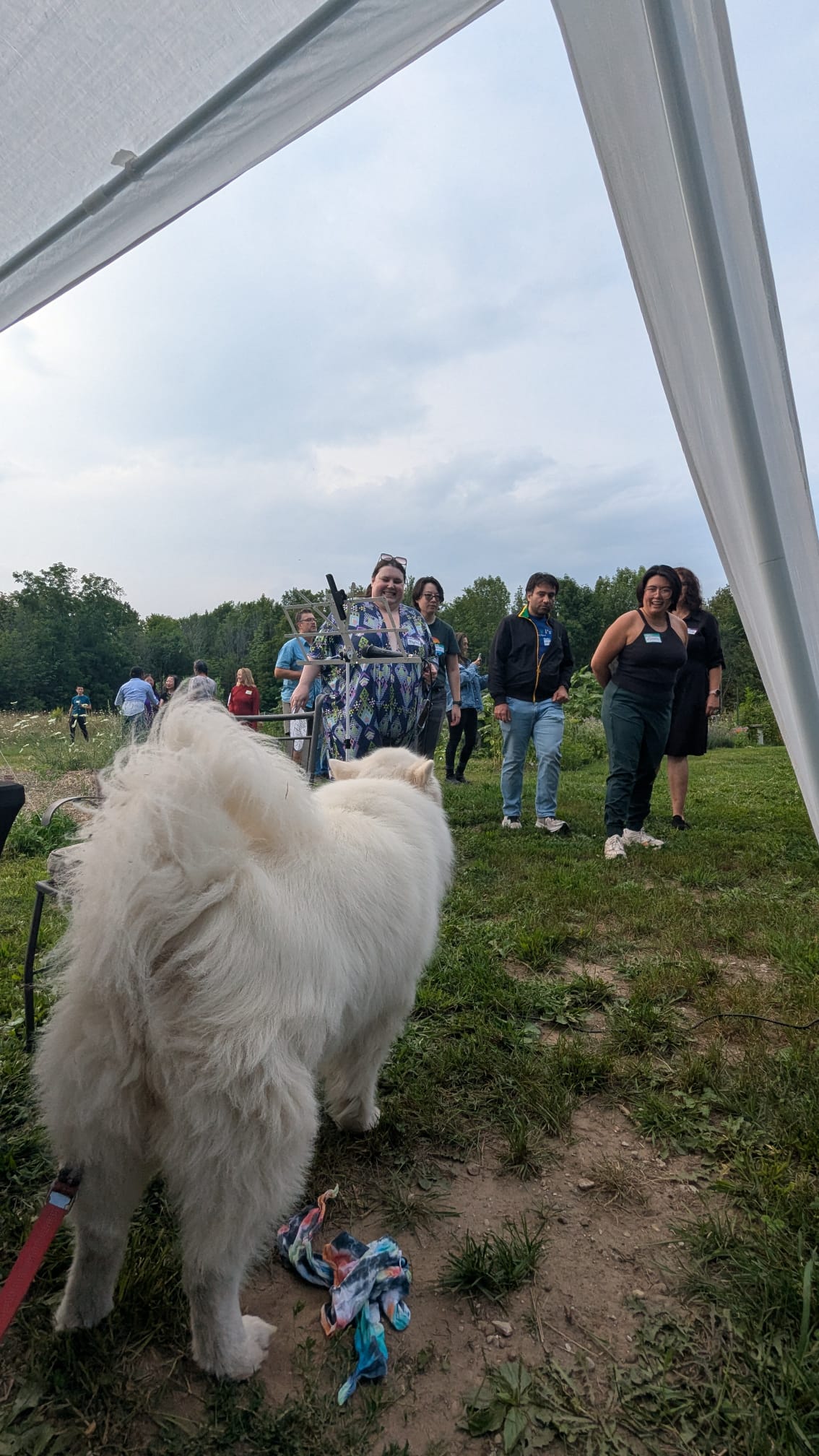 Guests mingling on the grass with the dog
