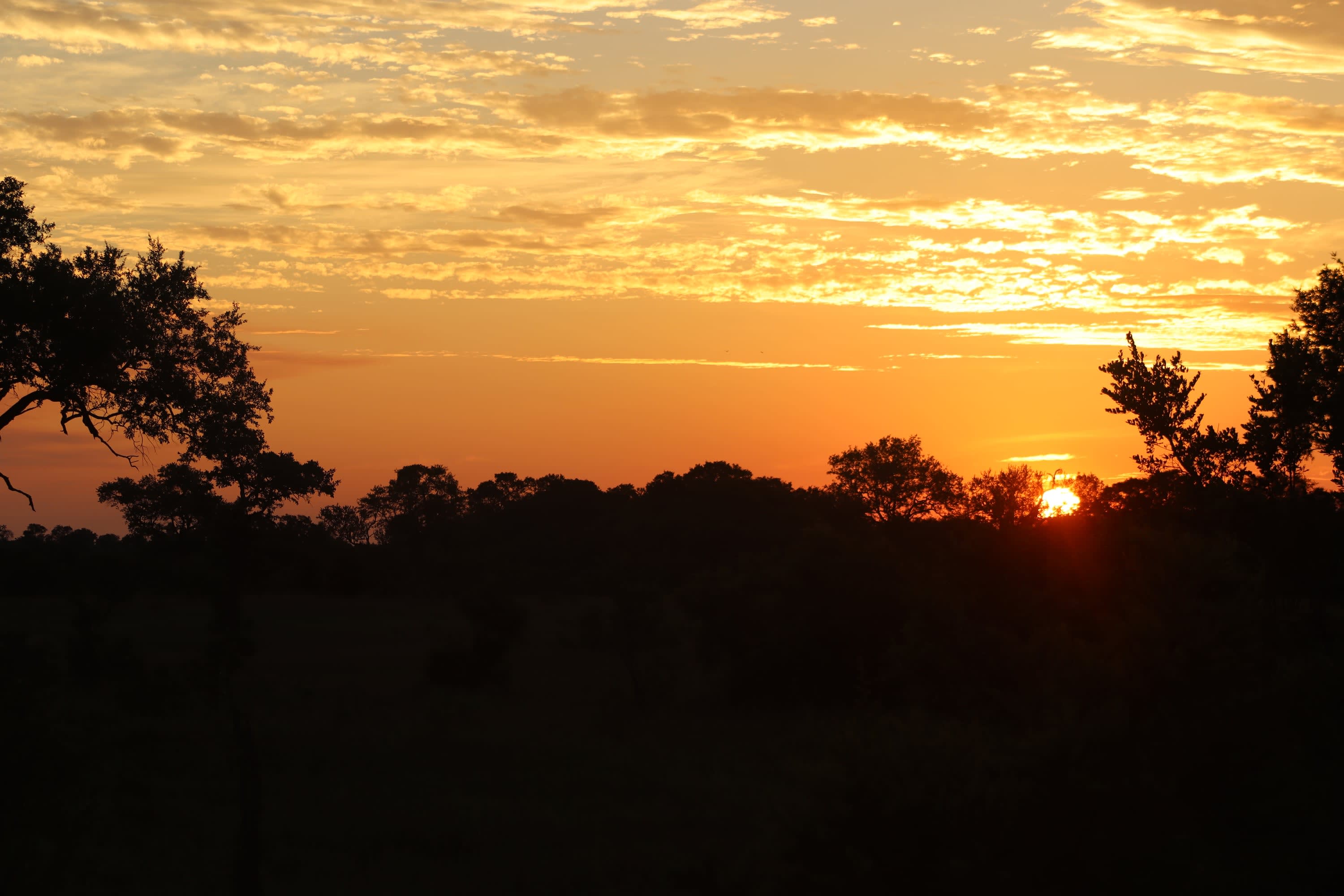 African sunset over the savanna