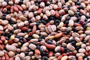 beans for high blood pressure