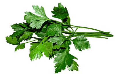 parsley is rich in vitamin c and rutin