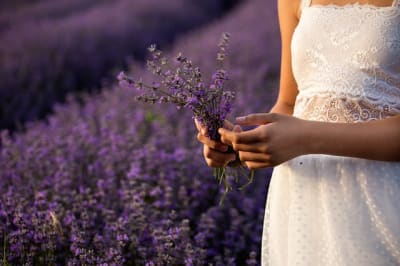 lavender essential oil treatment