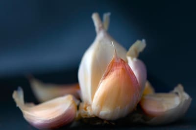 using garlic for herbal medicine