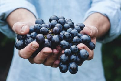 grapes sharpen brain function