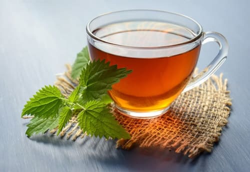 nettle leaves infused tea