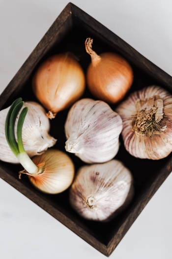 garlic and onion as remedies for hemorrhoids