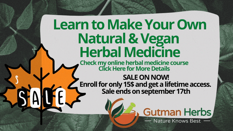 6 Medicinal Crops For The Your Herbs Backyard 10 September 15 Ends On 17Th Btd4Ct