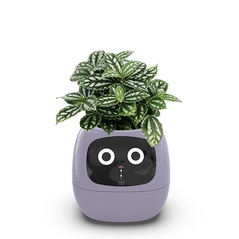 Vaso da Fiori Digitale PotSmart – Fioriera Interattiva con Display LCD e Ricarica USB