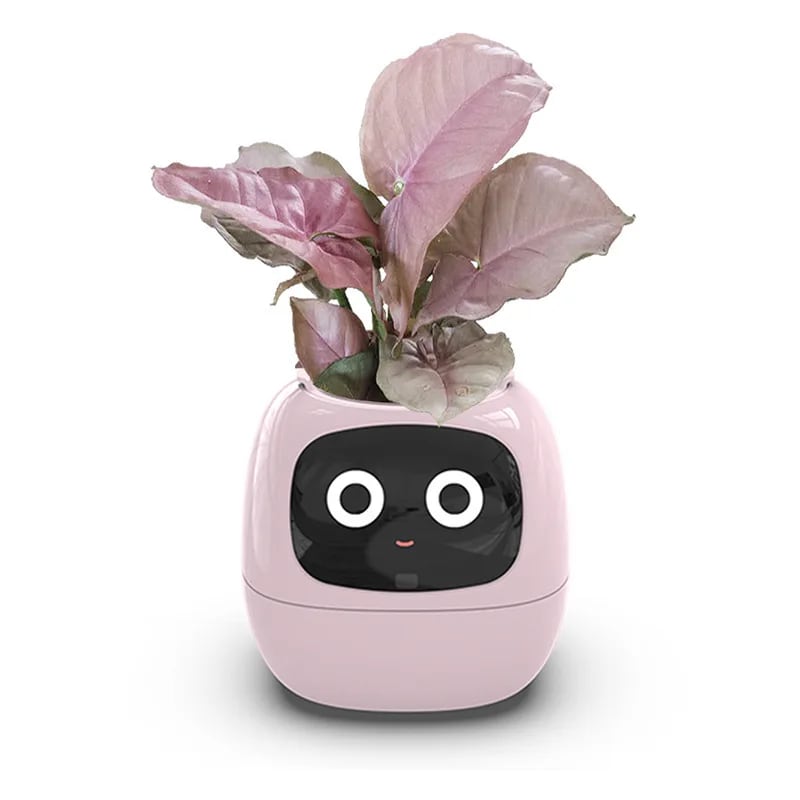 Vaso da Fiori Digitale PotSmart – Fioriera Interattiva con Display LCD e Ricarica USB - Immagine 2