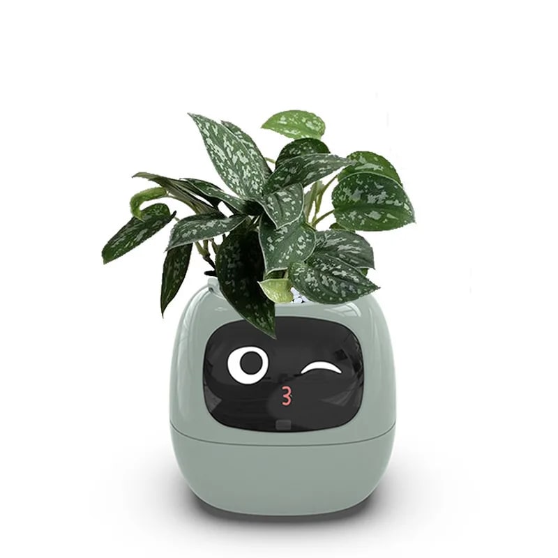 Vaso da Fiori Digitale PotSmart – Fioriera Interattiva con Display LCD e Ricarica USB - Immagine 3