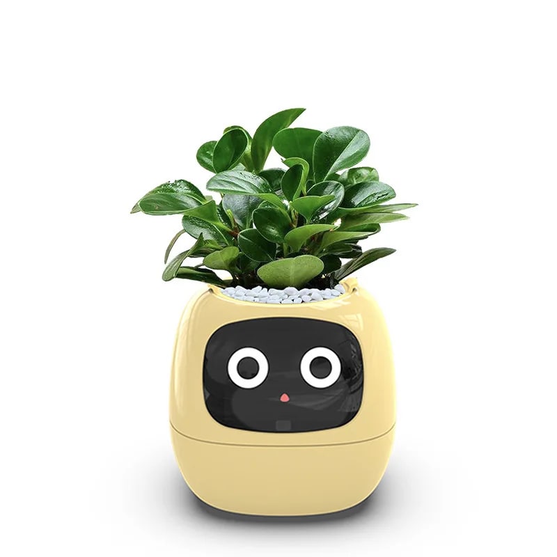 Vaso da Fiori Digitale PotSmart – Fioriera Interattiva con Display LCD e Ricarica USB - Immagine 4