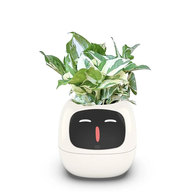 Vaso da Fiori Digitale PotSmart – Fioriera Interattiva con Display LCD e Ricarica USB - Immagine 5