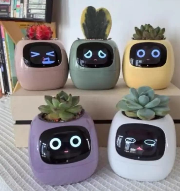 Vaso da Fiori Digitale PotSmart – Fioriera Interattiva con Display LCD e Ricarica USB - Immagine 6