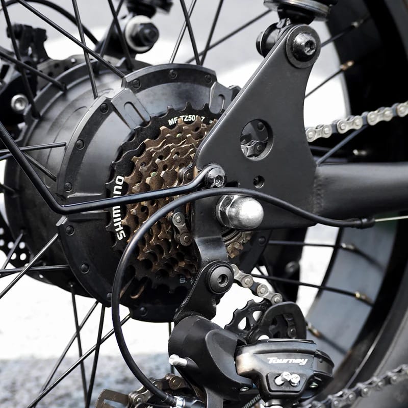 Bicicletta elettrica Fat Tire 20x4.0 con Doppia Batteria-48V 15.6Ah*2 - Immagine 9