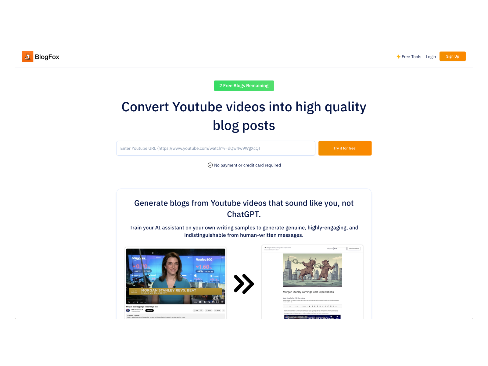 BlogFox screenshot