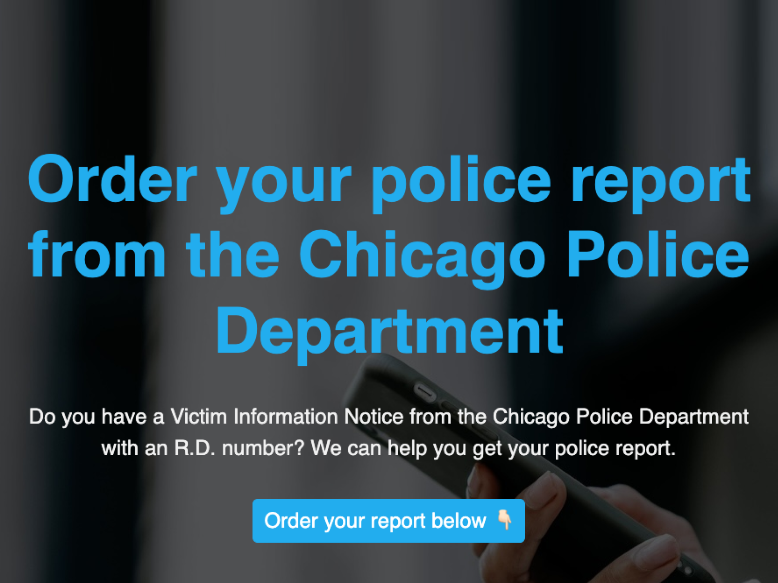 Chicago Police Report screenshot