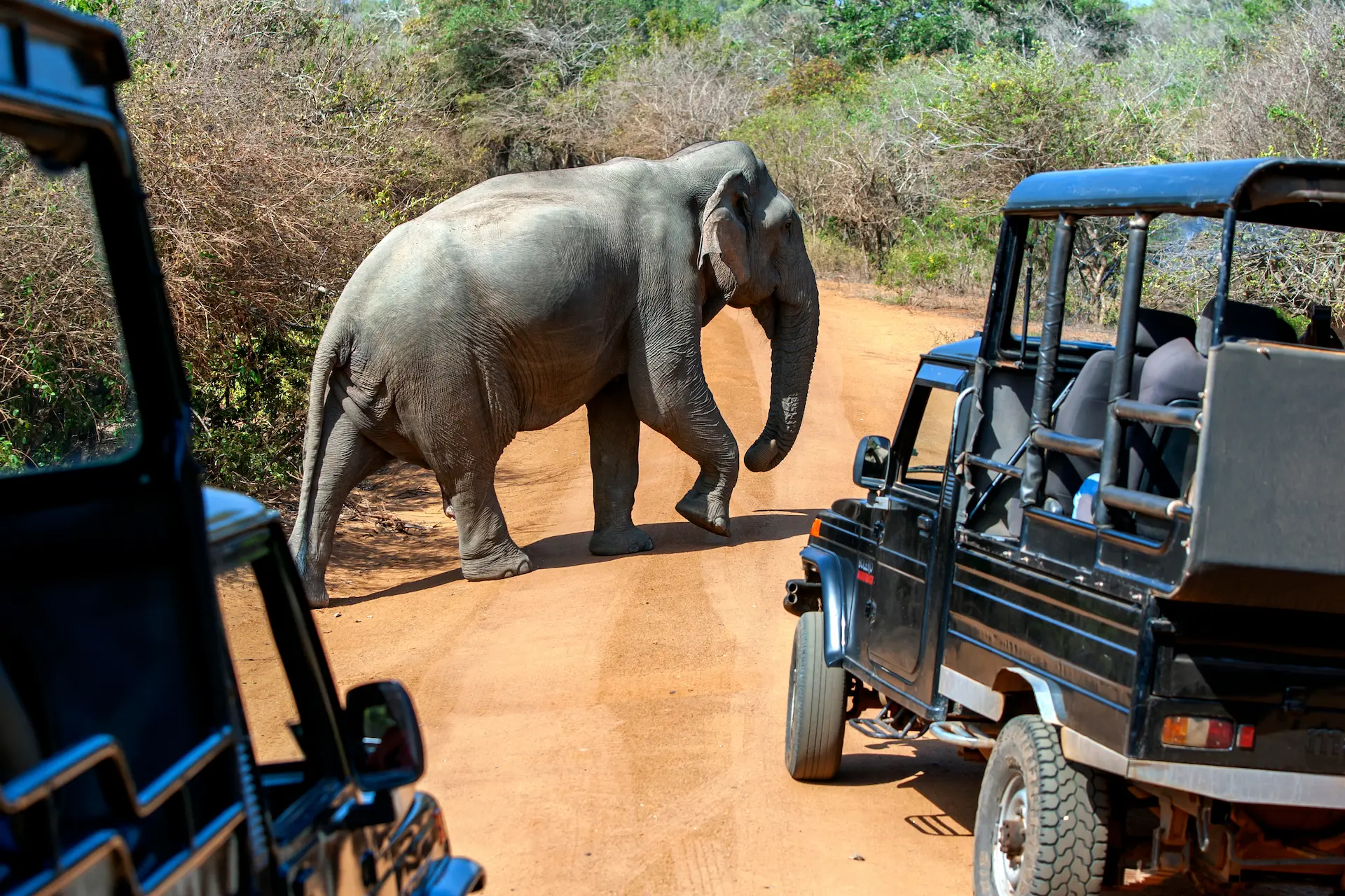 Yala National Park