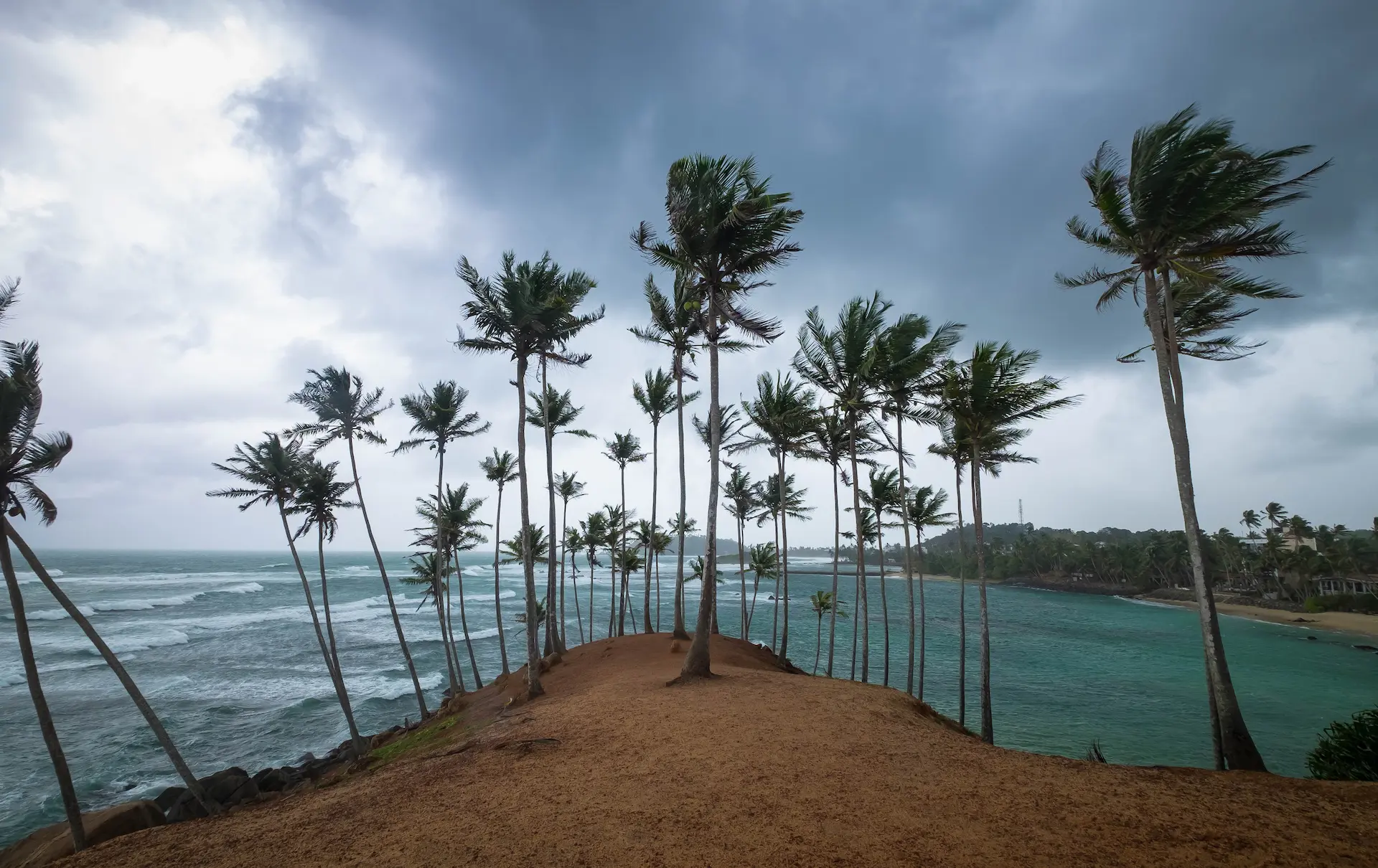 Coconut Tree Hill (Mirissa)