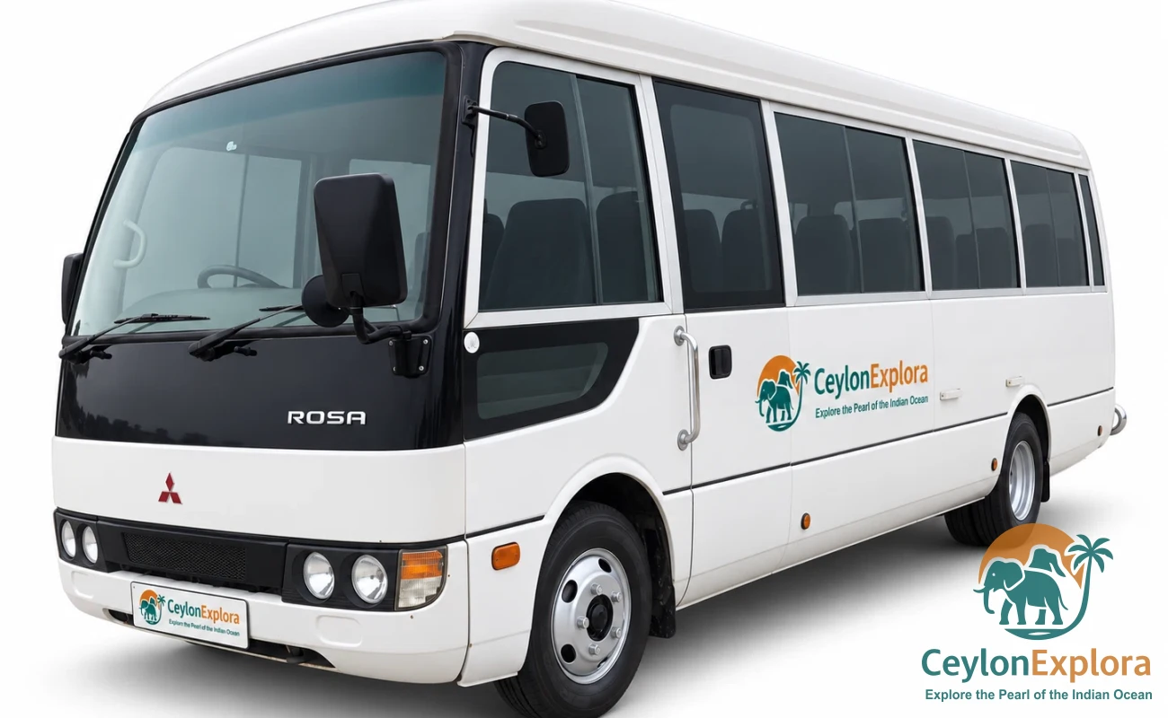 Mitsubishi Rosa (Mini Bus) image 1