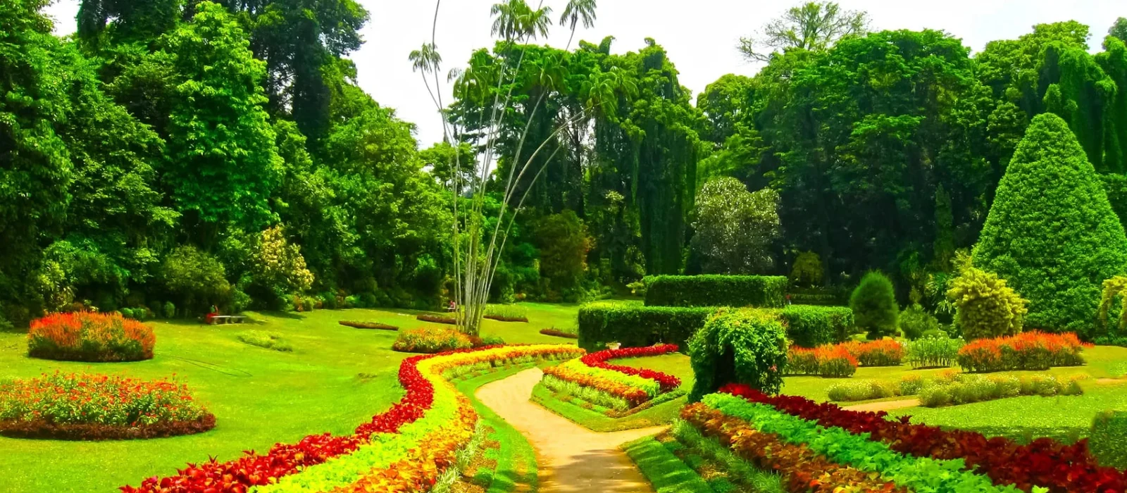 Ceylon Express: 4-Day Highlights image 4