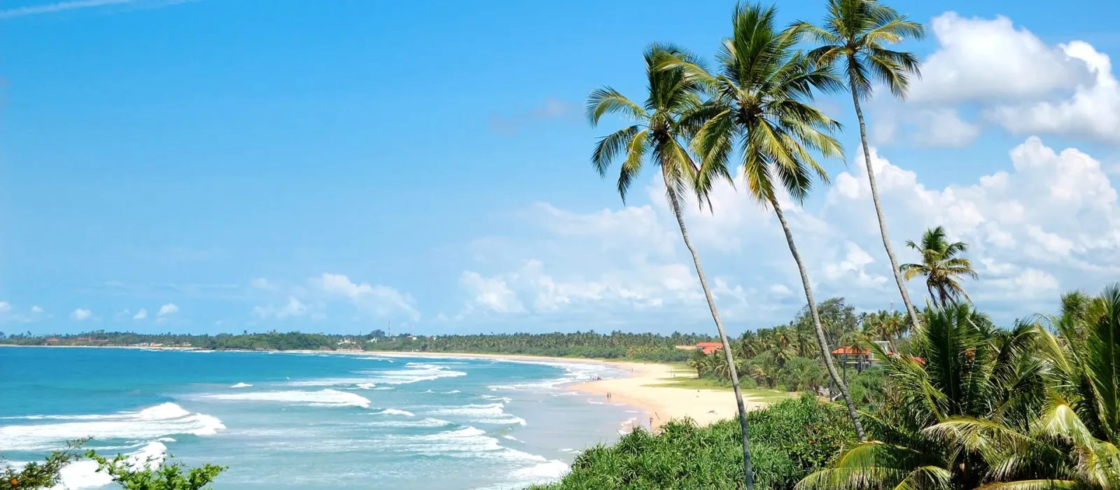 Ceylon Wellness Retreat image 2