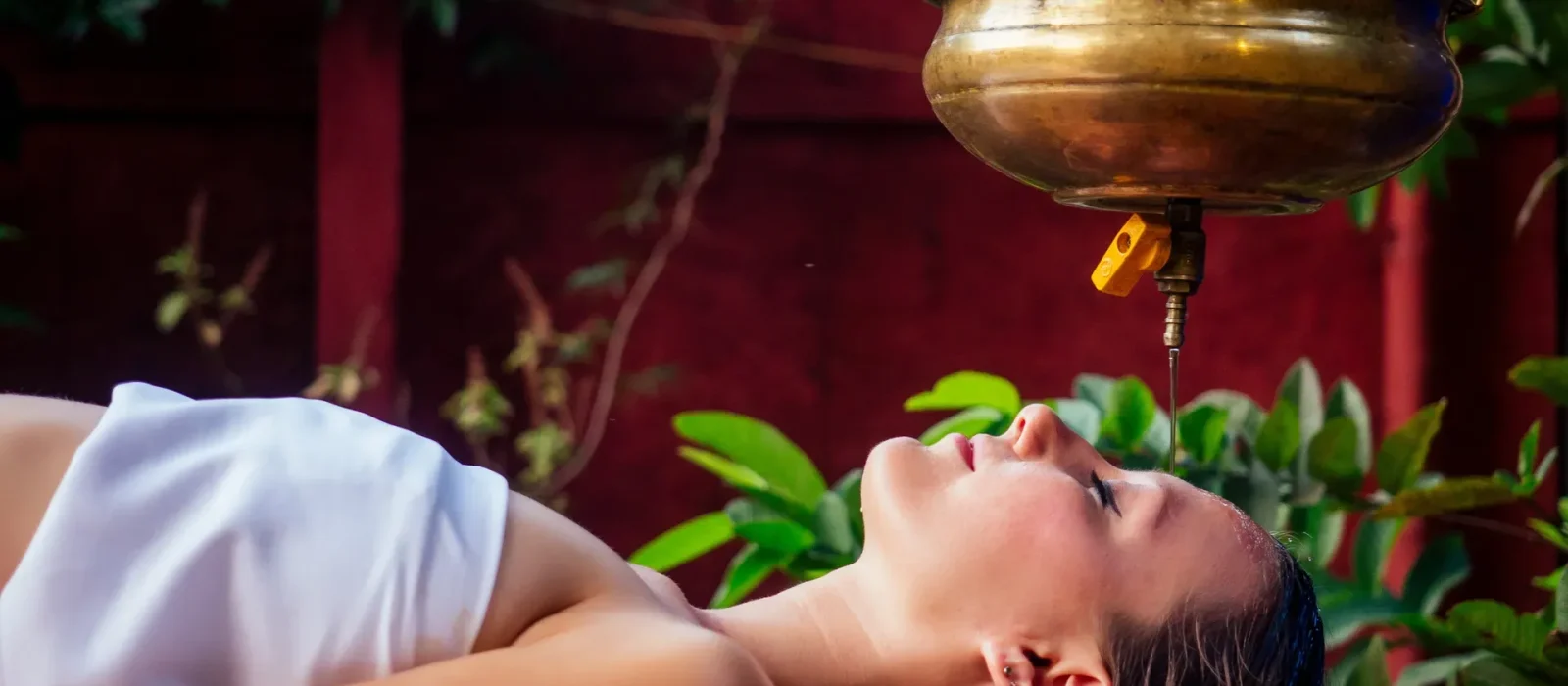 Ceylon Wellness Retreat image 1