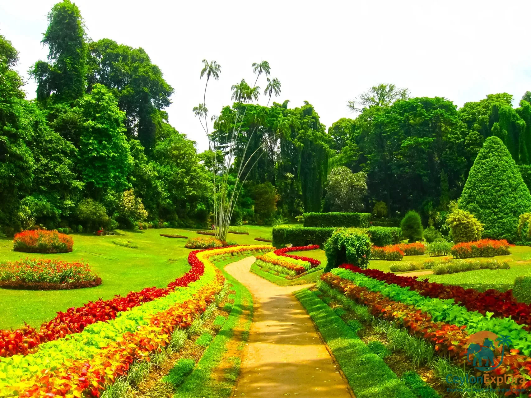 Royal Botanical Gardens Peradeniya
