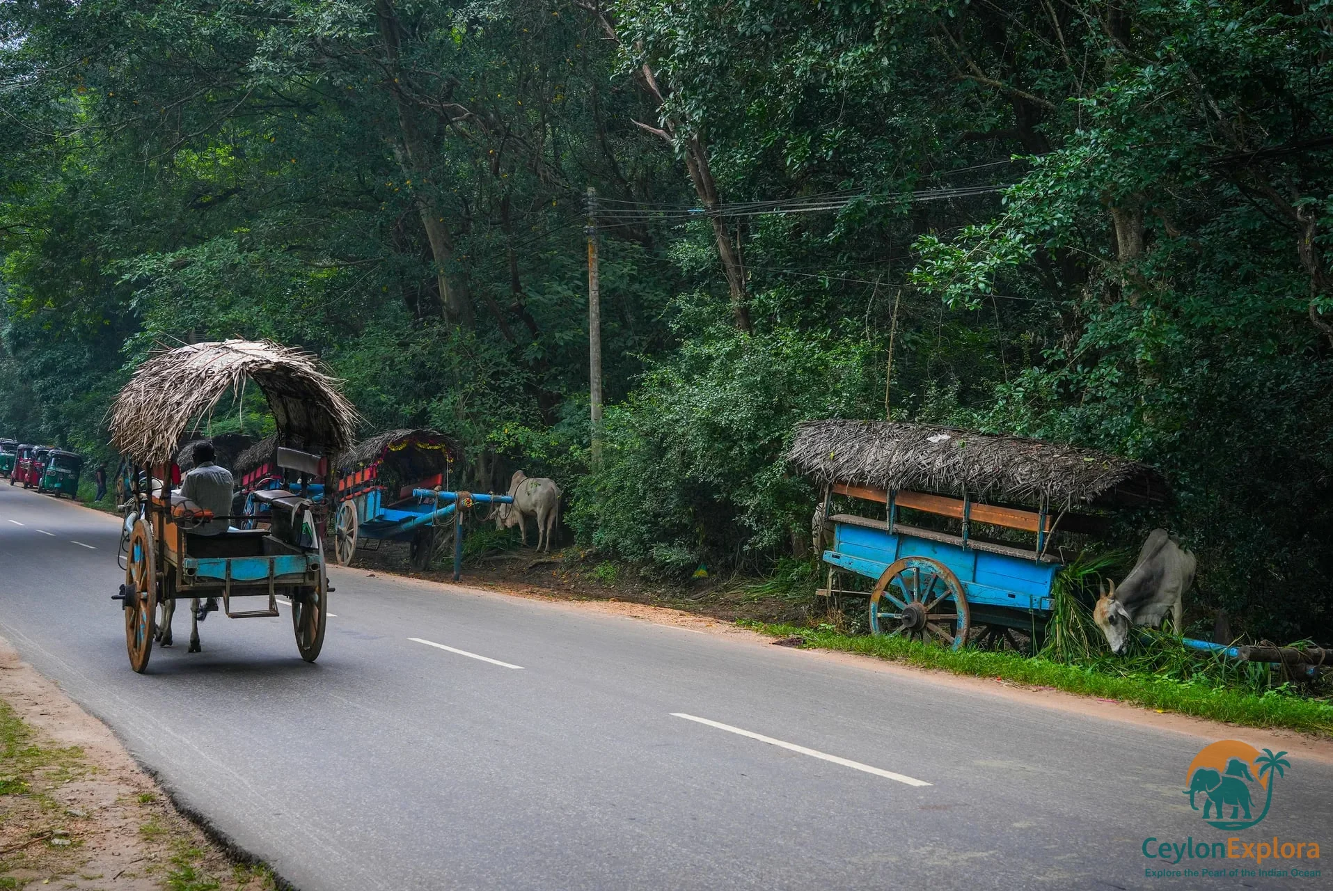 Sigiriya Village Tour