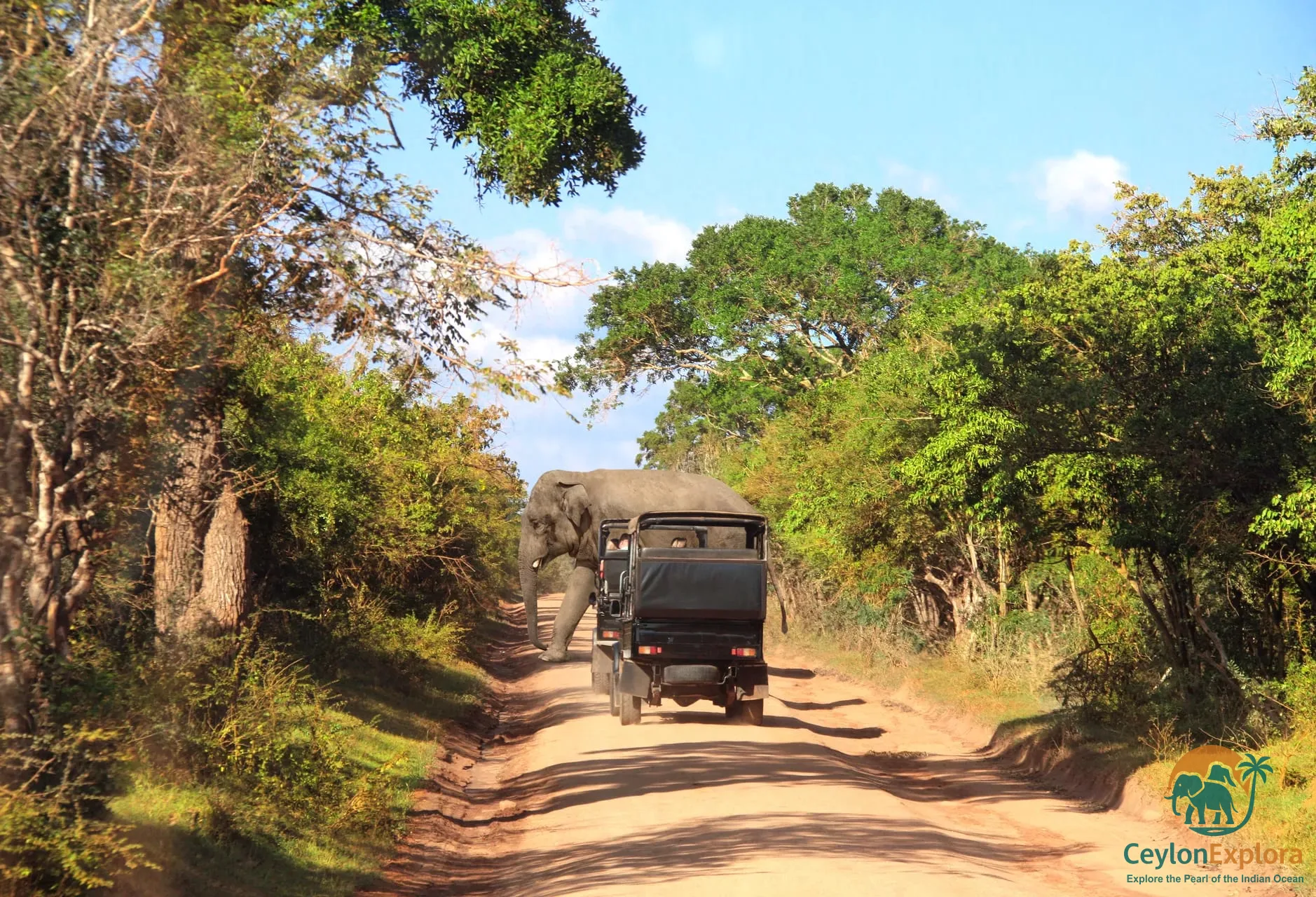 Yala National Park