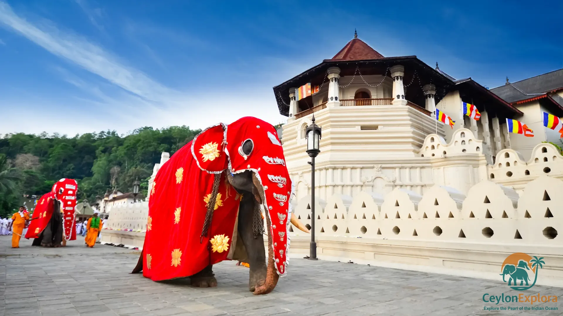 Kandy Esala Perahera 2026: Dates, Schedule and Visitor Guide