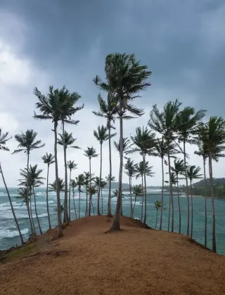 Coconut Tree Hill (Mirissa)