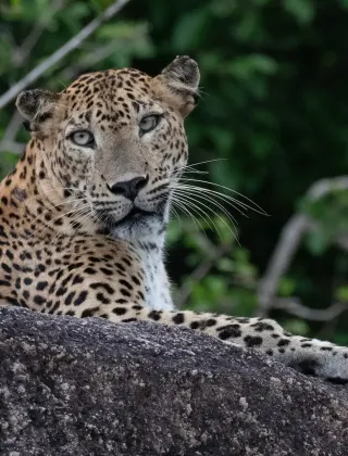 Kumana National Park