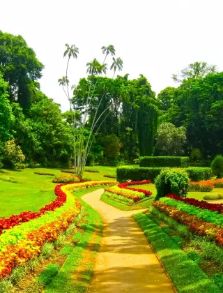 Royal Botanical Gardens Peradeniya