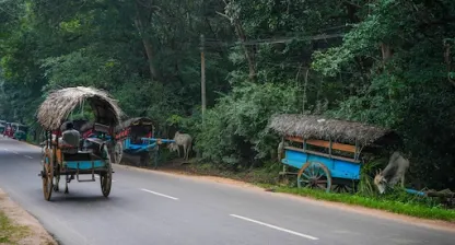 Sigiriya Village Tour