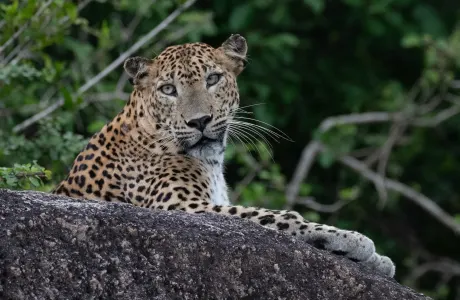 Kumana National Park