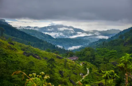 Knuckles Mountain Range