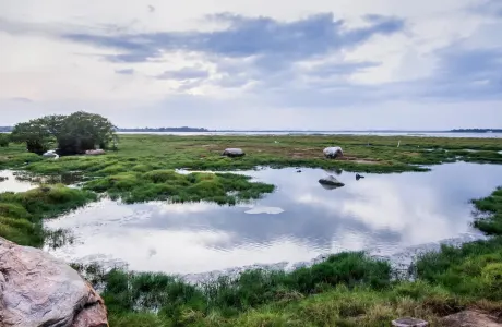 Arugam Bay Pottuvil Lagoon