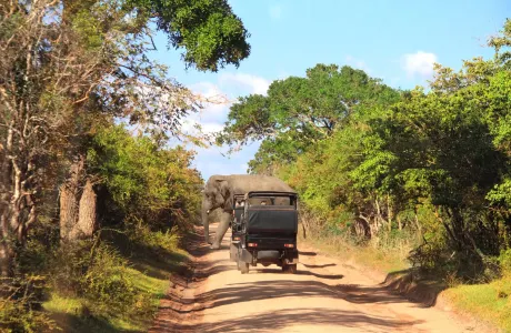 Yala National Park