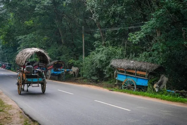 Sigiriya Village Tour