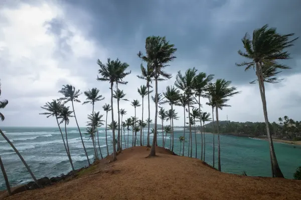 Coconut Tree Hill (Mirissa)