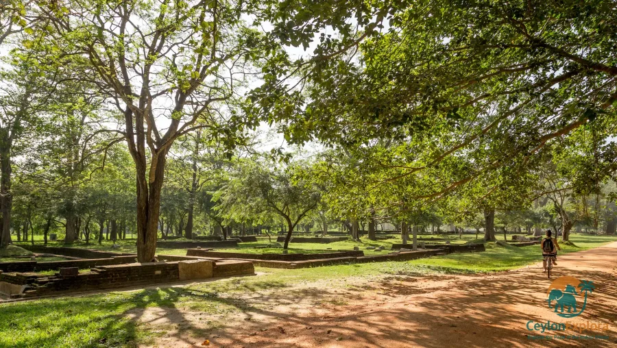 Bicycle Route Through the Sacred City Anuradhapura Sri Lanka - CeylonExplora