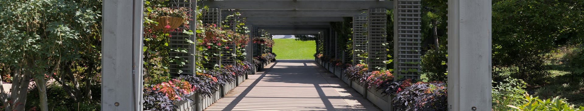 Pergolas & Verandahs