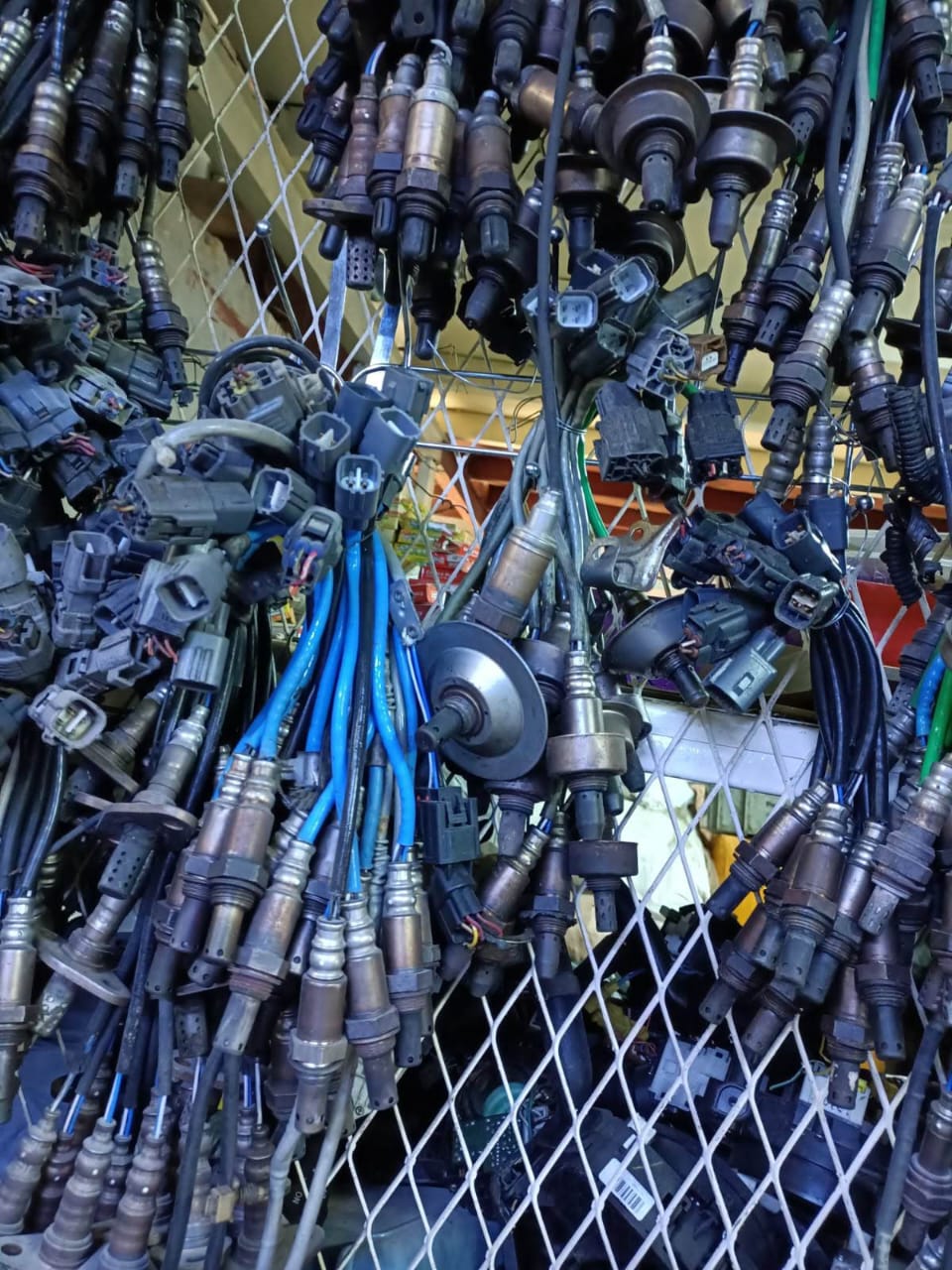 Oxygen sensor