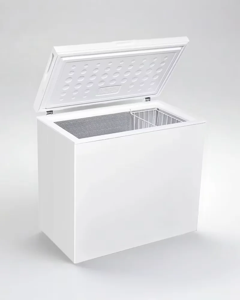 Freezer 200L